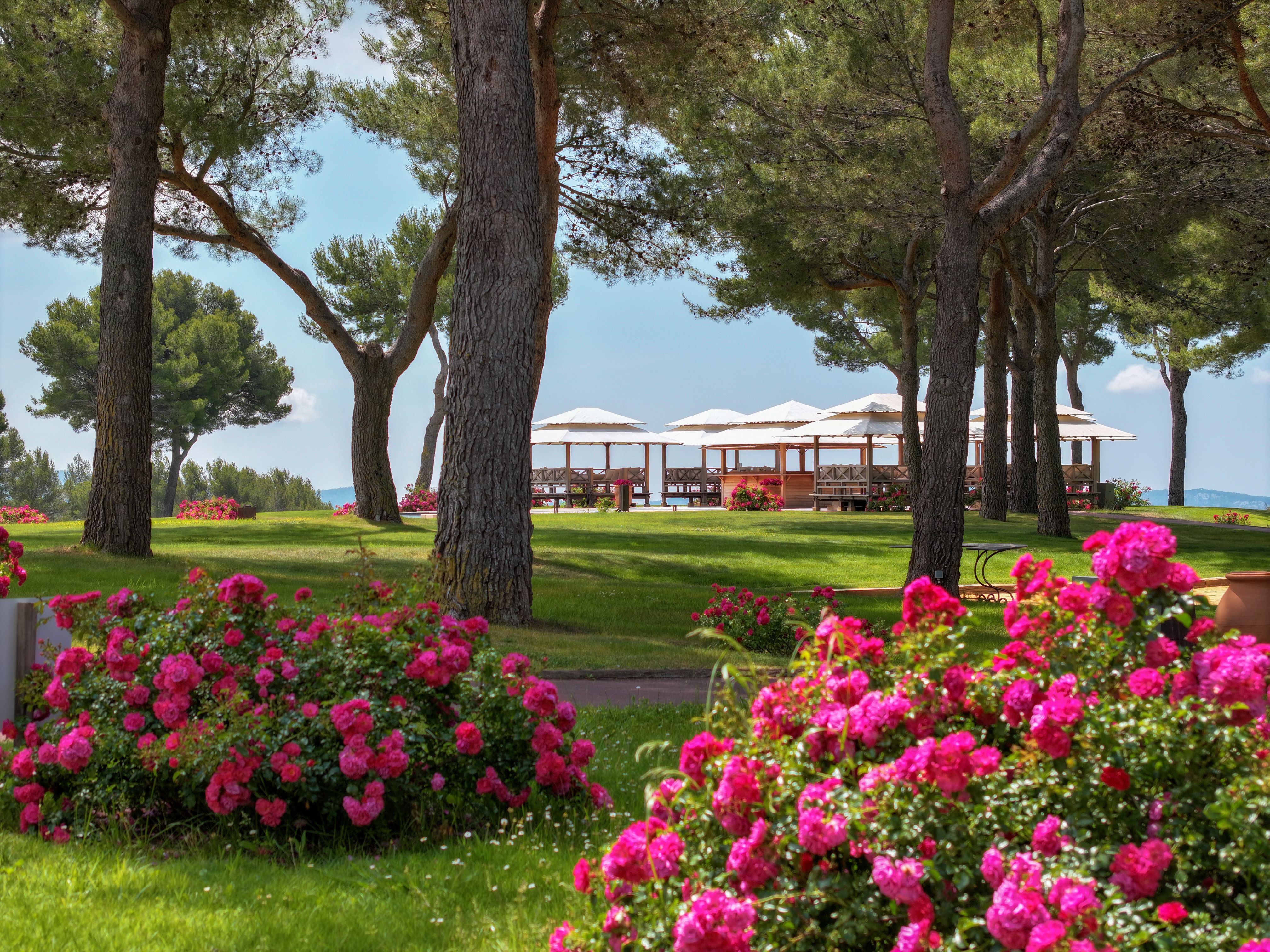 Pines, flowers and a terrace at Hôtel du Castellet